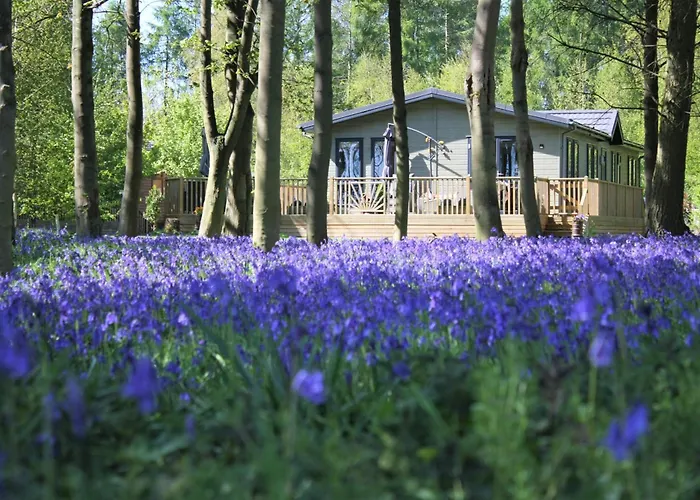 Hollicarrs - Woodland Lodge