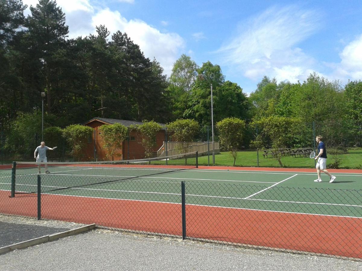 Lodge Hollicarrs - Woodland