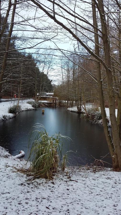 Lodge Hollicarrs - Woodland *