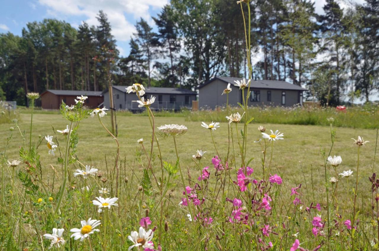 Lodge Hollicarrs - Woodland *