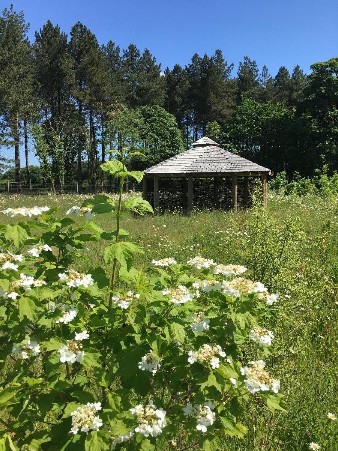 Lodge Hollicarrs - Woodland *