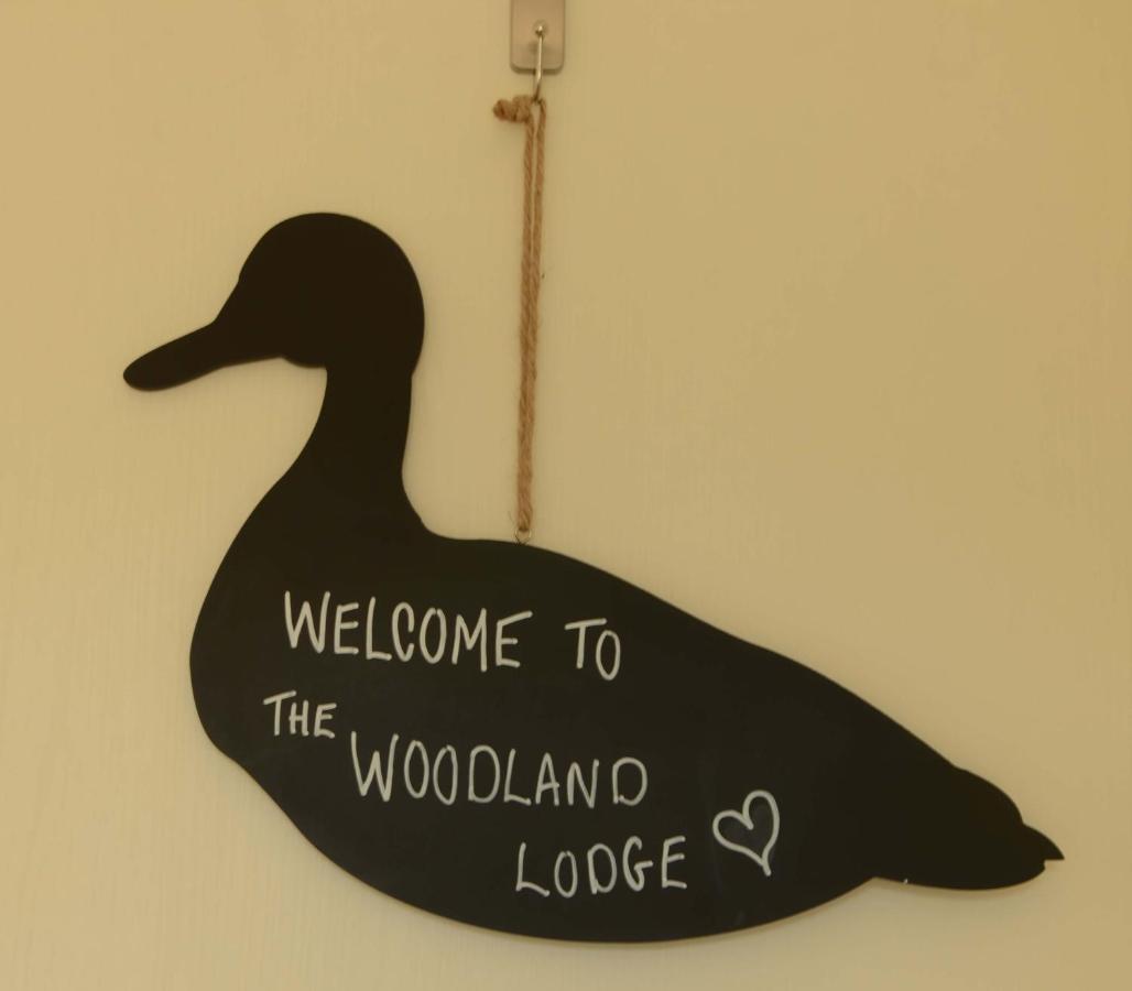 Lodge Hollicarrs - Woodland *