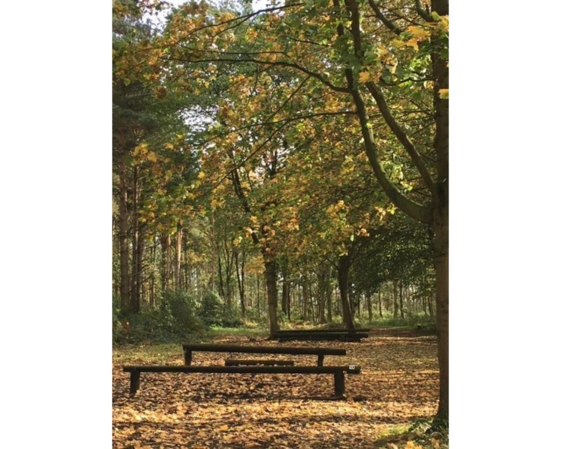 Hollicarrs - Woodland *