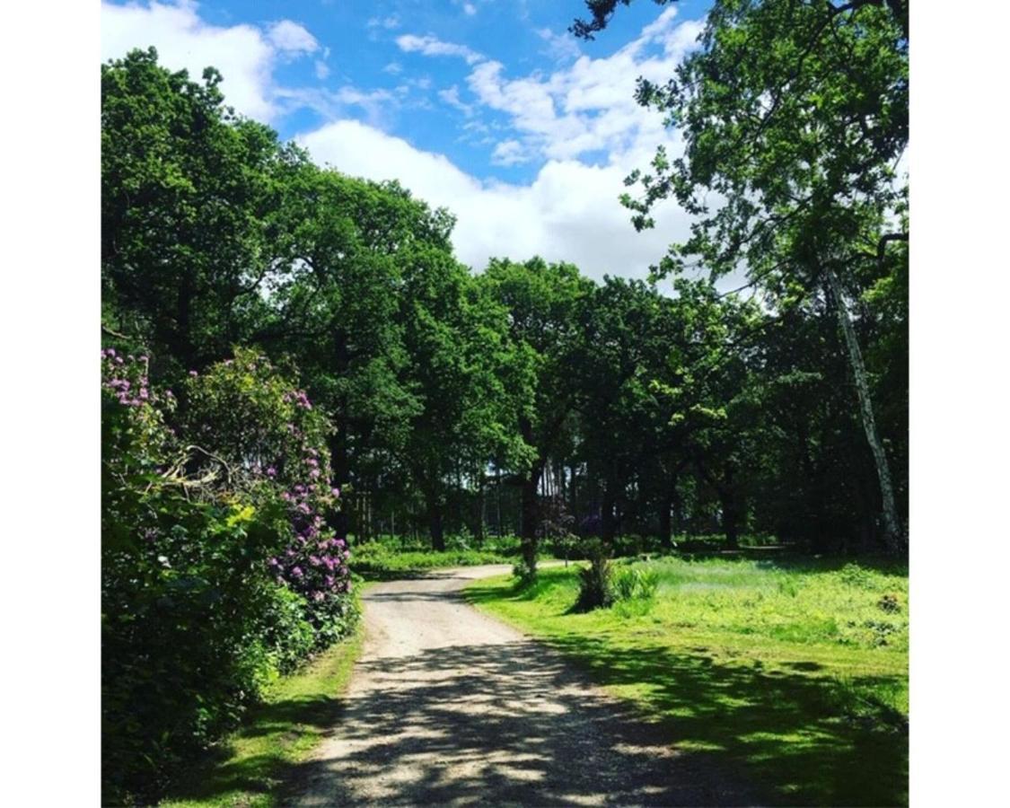 Hollicarrs - Woodland *