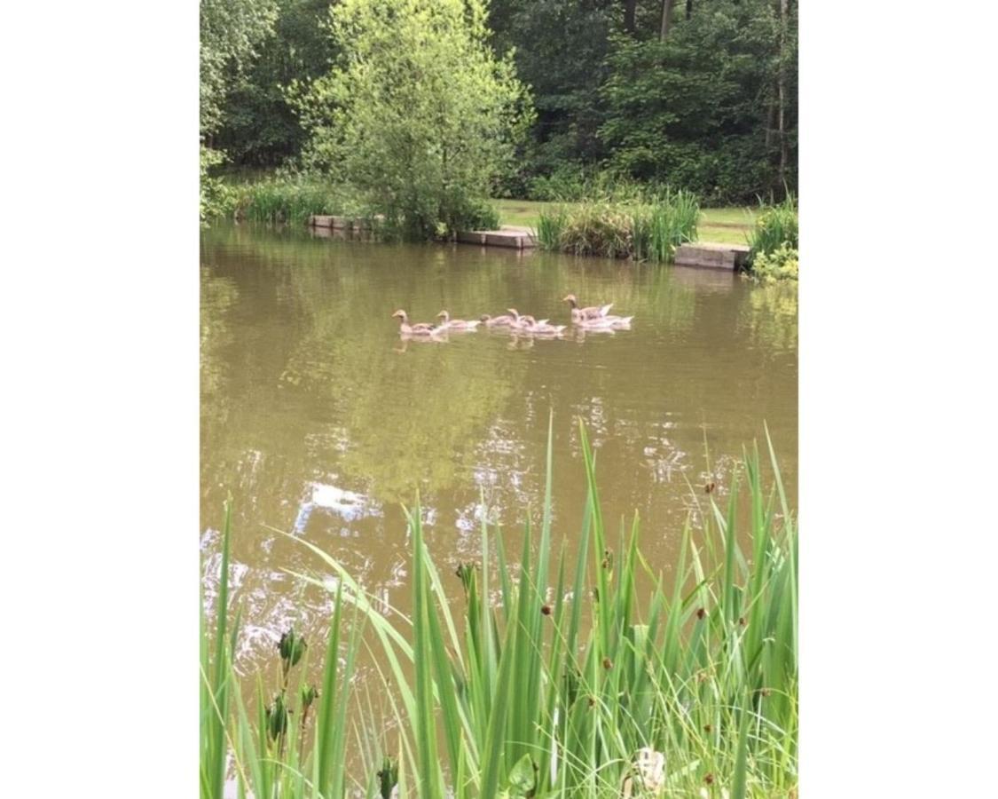 Hollicarrs - Woodland Lodge York