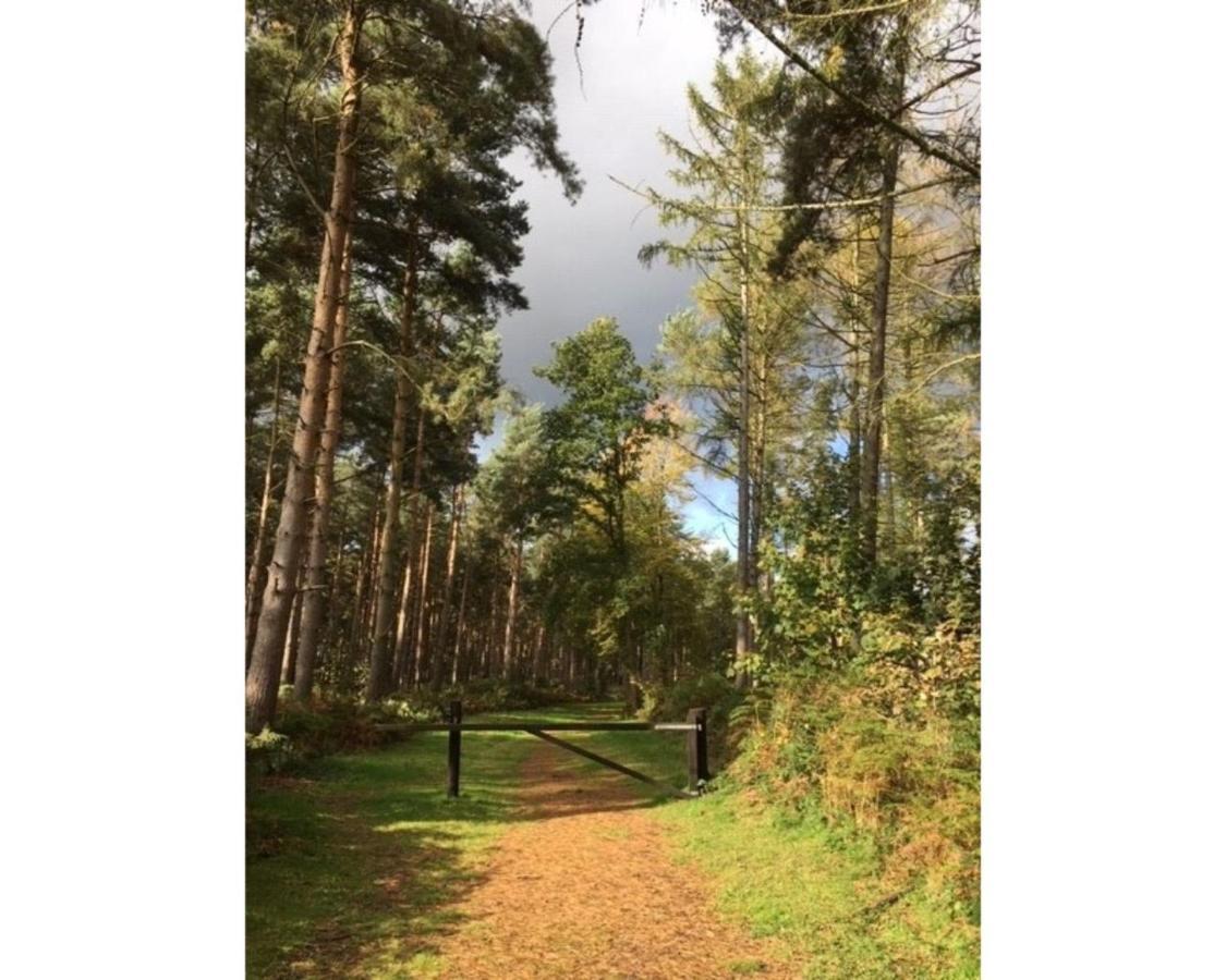 Hollicarrs - Woodland Lodge