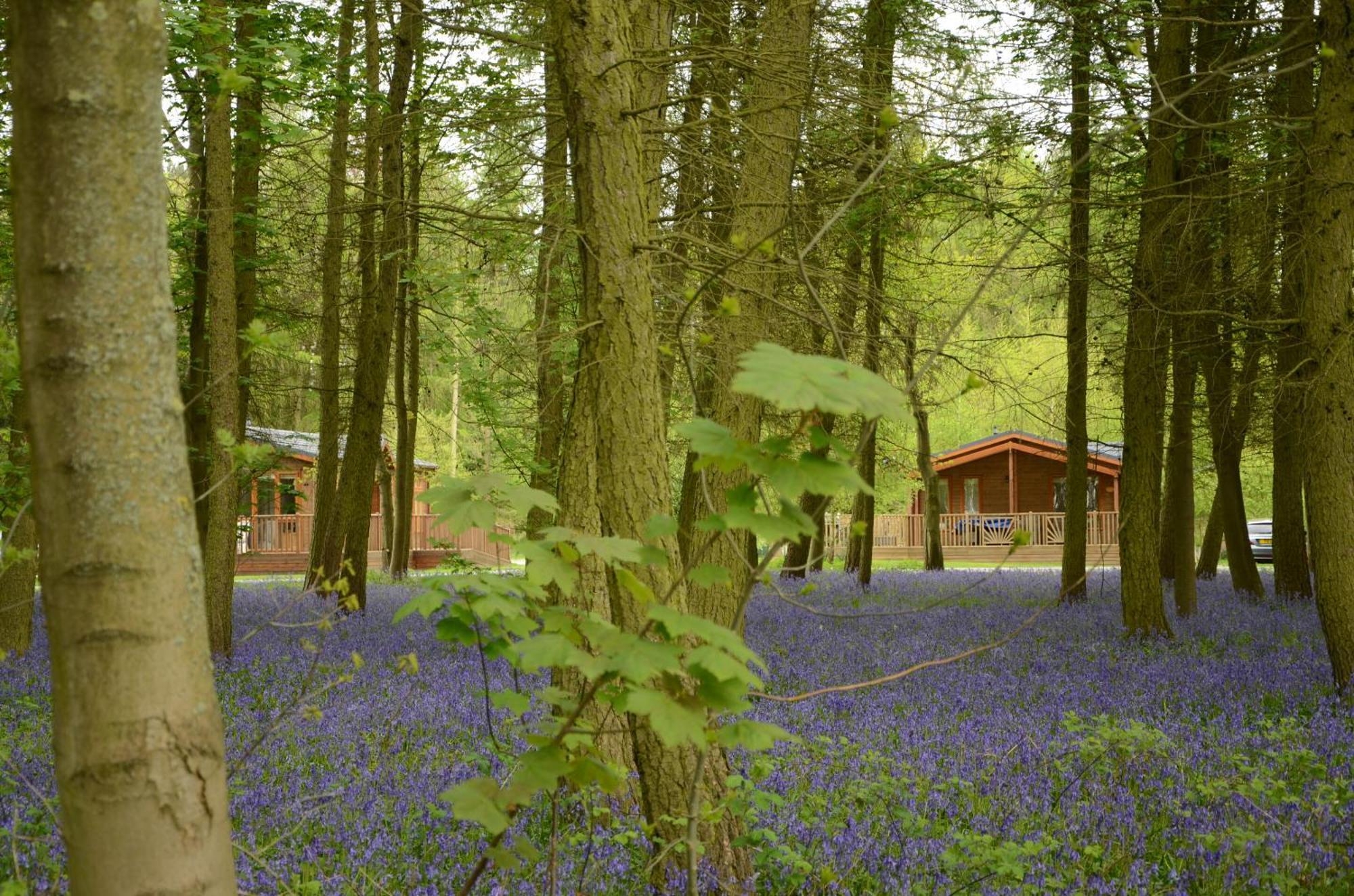 Hollicarrs - Woodland Lodge York